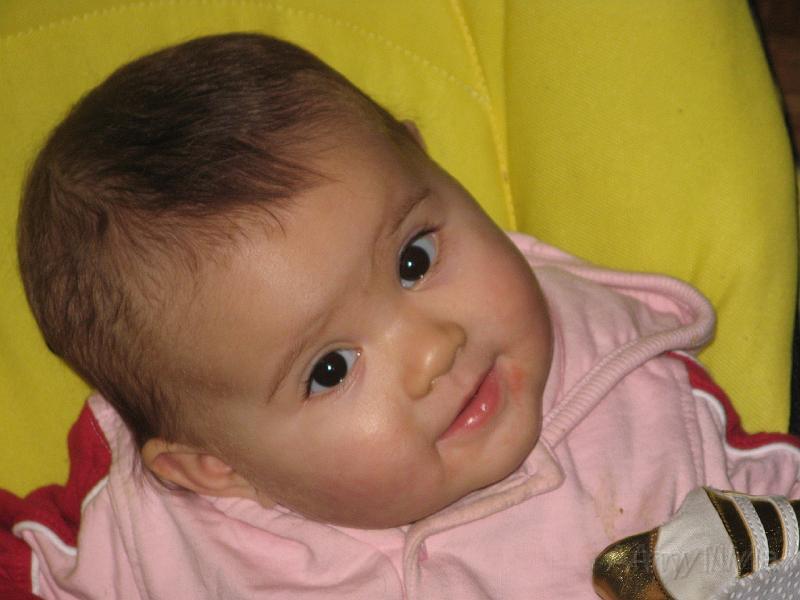 2008_02_03 (20).JPG